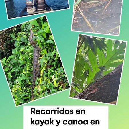 Apartamentos Caiman 3 Tortuguero Eksteriør billede