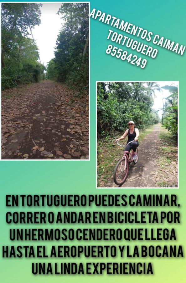 Apartamentos Caiman 3 Tortuguero Eksteriør billede