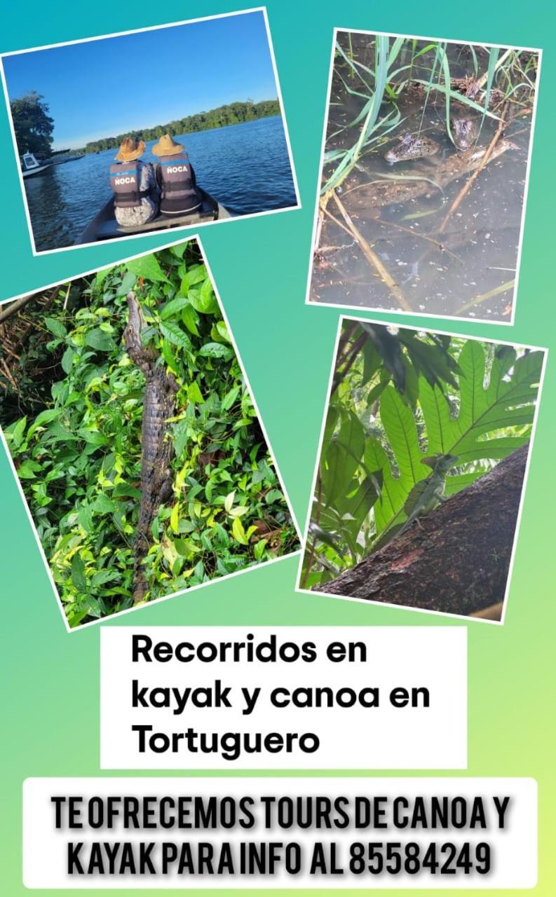Apartamentos Caiman 3 Tortuguero Eksteriør billede